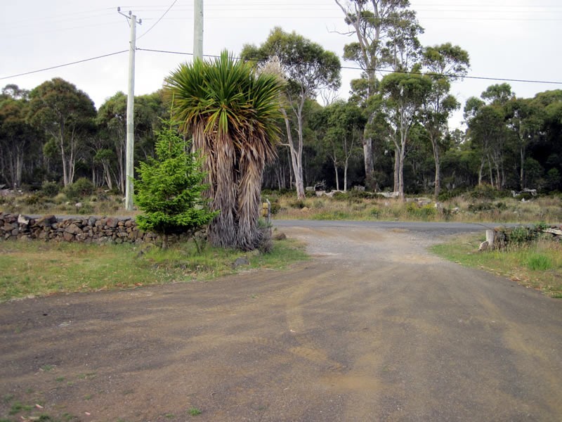 79 Arthurs Lake Road, Arthurs Lake TAS 7030
