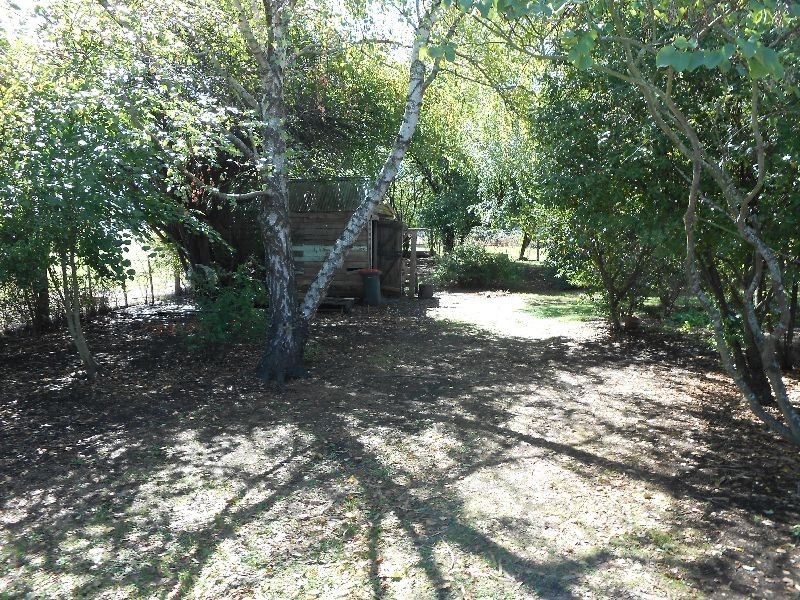4 Field Street, Bracknell TAS 7302