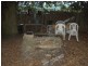1 Drummond Crescent, Perth TAS 7300