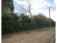 24 Lewis Street, Longford TAS 7301