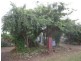 24 Lewis Street, Longford TAS 7301