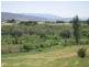 19 The Esplande, Queen Street, Campbell Town TAS 7210