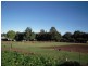 131 Dexter Street, Westbury TAS 7303