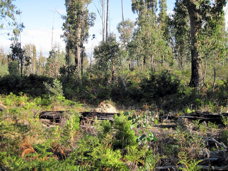 Lot 87/32  Laycock Drive, Lake Crescent TAS 7120