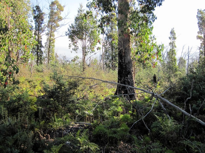 Lot 87/32  Laycock Drive, Lake Crescent TAS 7120