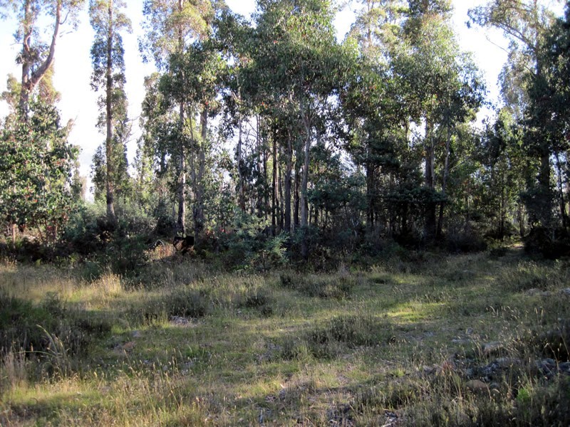 Lot 87/32  Laycock Drive, Lake Crescent TAS 7120