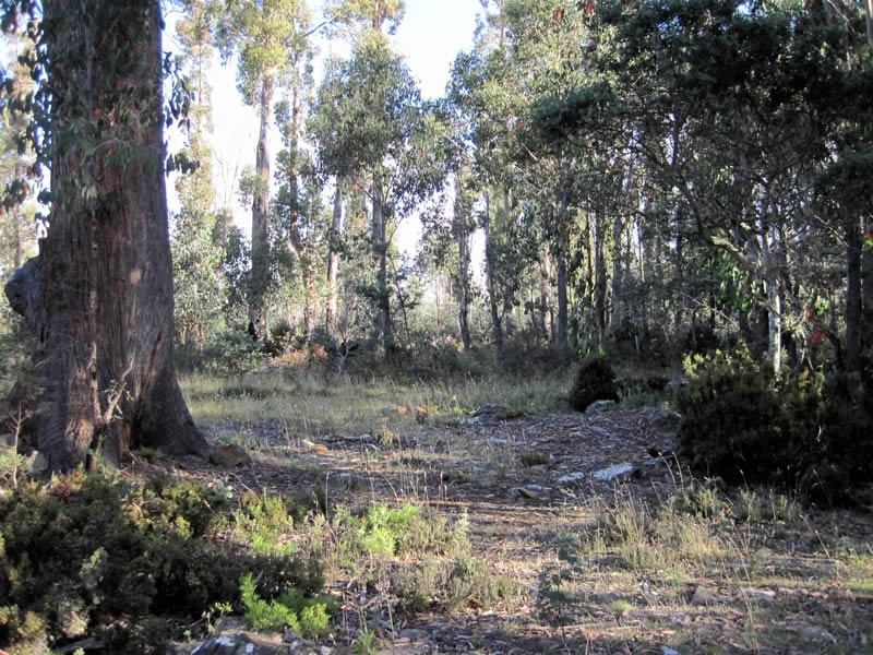 Lot 87/32  Laycock Drive, Lake Crescent TAS 7120