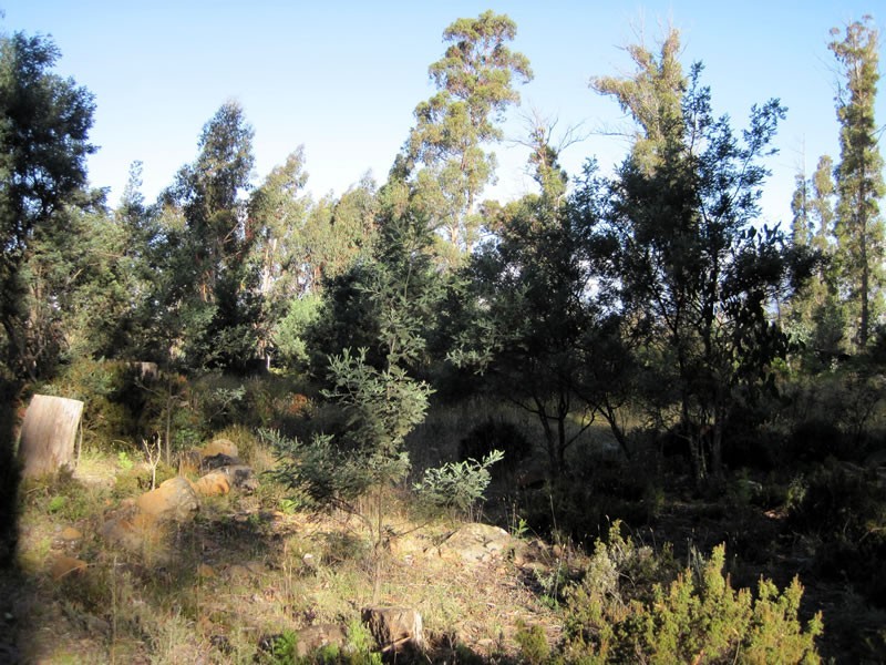 Lot 87/32  Laycock Drive, Lake Crescent TAS 7120