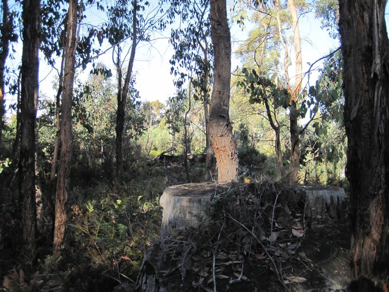 Lot 87/32  Laycock Drive, Lake Crescent TAS 7120