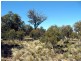 Lot 1 Arthurs Lake Rd, Arthurs Lake TAS 7030