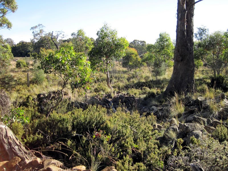 Lot 1 Arthurs Lake Rd, Arthurs Lake TAS 7030