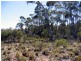 Lot 1 Arthurs Lake Rd, Arthurs Lake TAS 7030