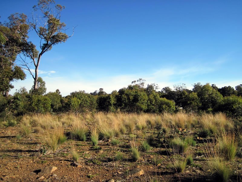 Lot 1 Arthurs Lake Rd, Arthurs Lake TAS 7030