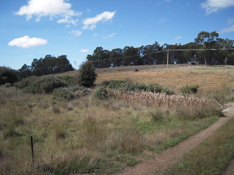 0 Meander Valley Road, Travellers Rest TAS 7250