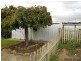 19 George Street, Perth TAS 7300