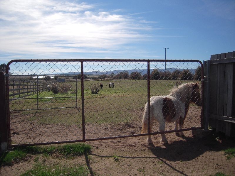 6 Sprent Street, Campbell Town TAS 7210