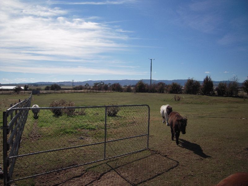 6 Sprent Street, Campbell Town TAS 7210