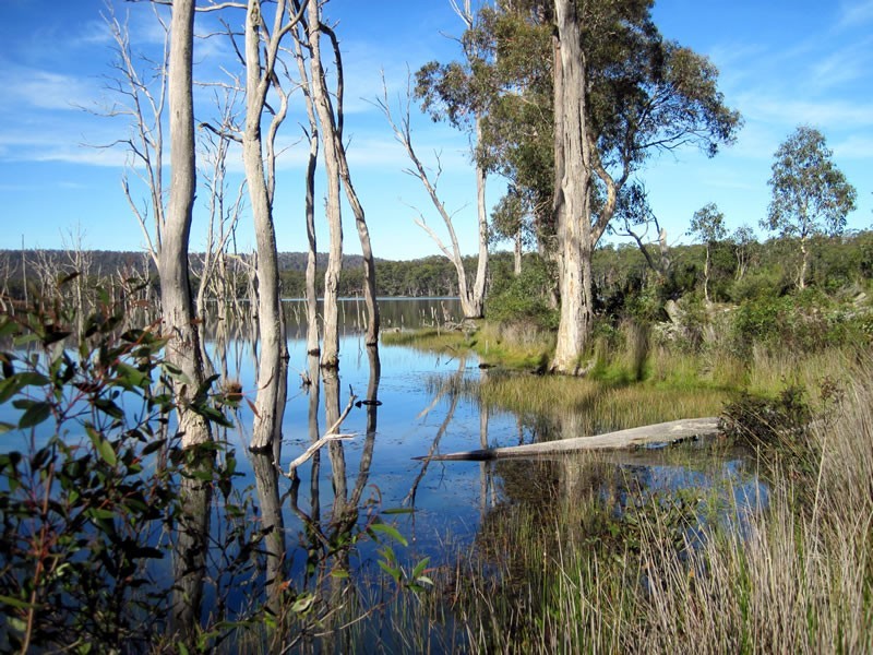 Lot 27 Pauciflora Drive, London Lakes TAS 7140