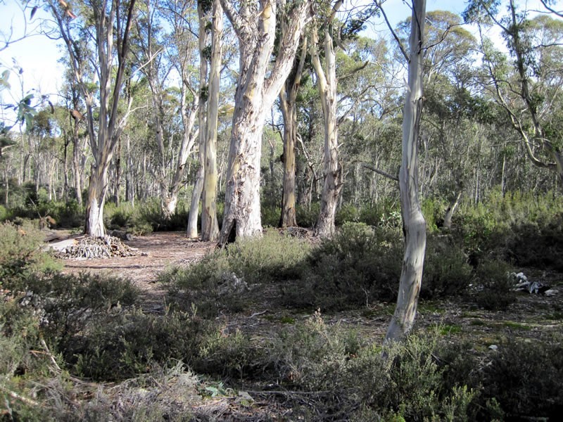 Lot 27 Pauciflora Drive, London Lakes TAS 7140