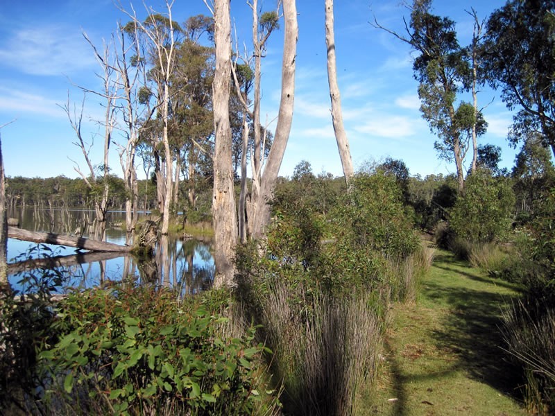 Lot 27 Pauciflora Drive, London Lakes TAS 7140