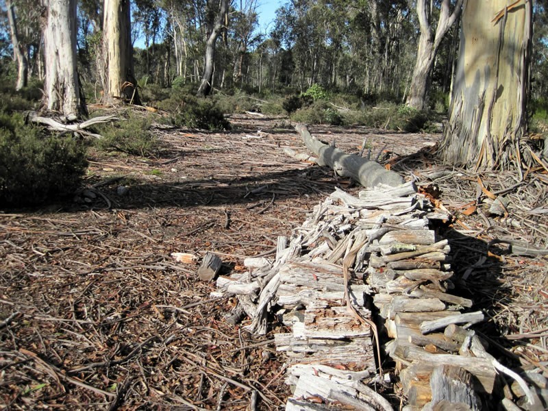 Lot 27 Pauciflora Drive, London Lakes TAS 7140