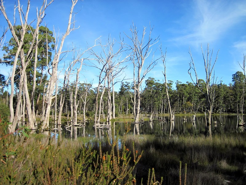 Lot 27 Pauciflora Drive, London Lakes TAS 7140
