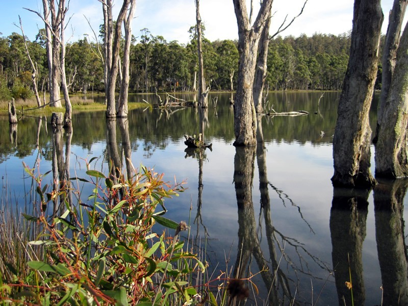 Lot 27 Pauciflora Drive, London Lakes TAS 7140