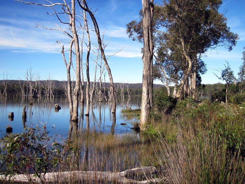 Lot 27 Pauciflora Drive, London Lakes TAS 7140