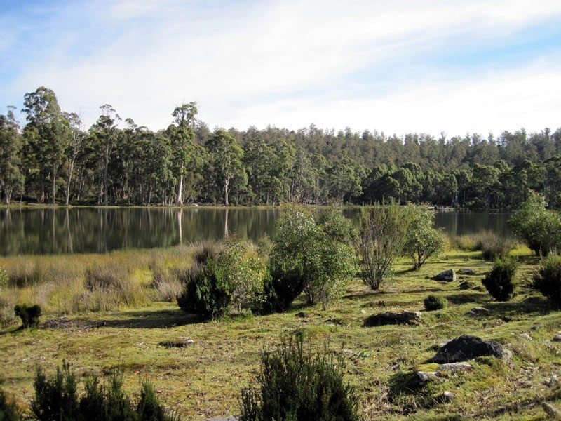 Lot 27 Pauciflora Drive, London Lakes TAS 7140