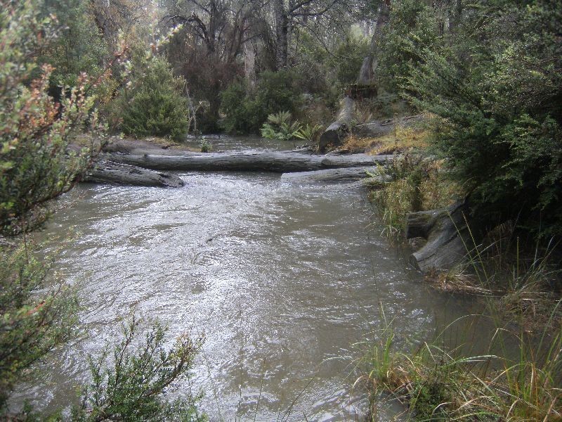 0 Gipps Creek Road, Rossarden TAS 7213