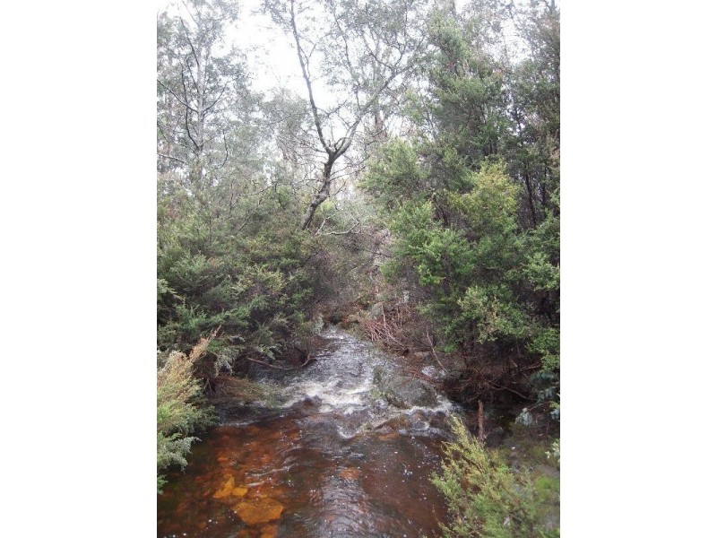 0 Gipps Creek Road, Rossarden TAS 7213