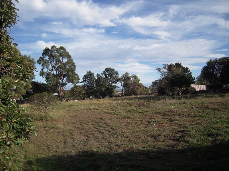 42 Main Street, Cressy TAS 7302