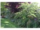57 Frederick Street, Perth TAS 7300