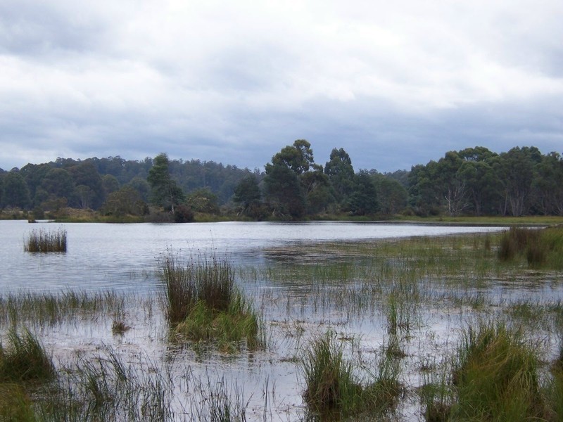 Lot 4 Woodwards Estate – Lyell Highway, Bradys Lake TAS 7140