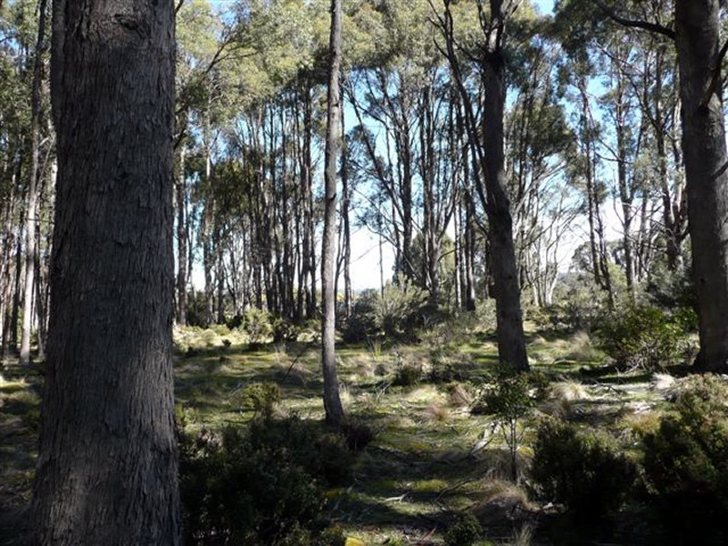 Lot 4 Woodwards Estate – Lyell Highway, Bradys Lake TAS 7140