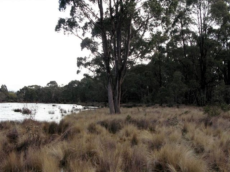 Lot 4 Woodwards Estate – Lyell Highway, Bradys Lake TAS 7140