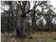 Lot 4 Woodwards Estate – Lyell Highway, Bradys Lake TAS 7140