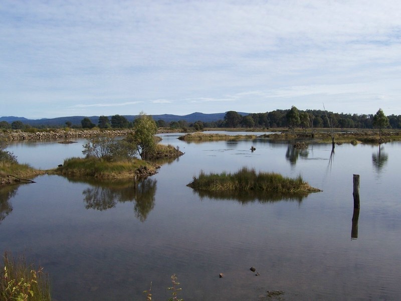 Lot 4 Woodwards Estate – Lyell Highway, Bradys Lake TAS 7140