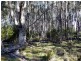 Lot 4 Woodwards Estate – Lyell Highway, Bradys Lake TAS 7140