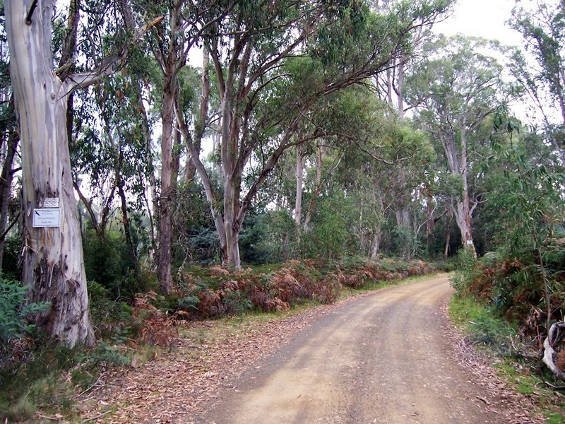 Lot 4 Woodwards Estate – Lyell Highway, Bradys Lake TAS 7140