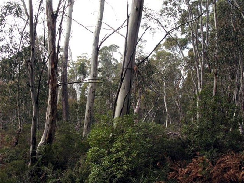 Lot 4 Woodwards Estate – Lyell Highway, Bradys Lake TAS 7140