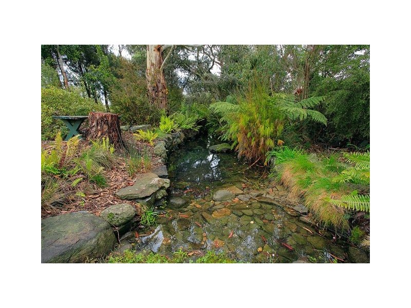 99 Catherine Street, Longford TAS 7301