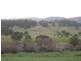 77 Roses Tier Road, Upper Blessington TAS 7212