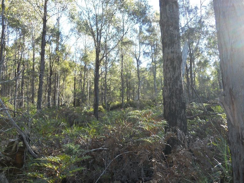 “Little Den” Lake River Road, Cressy TAS 7302 the real estate agency