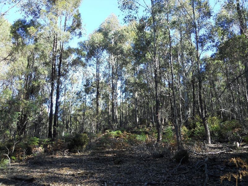 “Little Den” Lake River Road, Cressy TAS 7302 the real estate agency