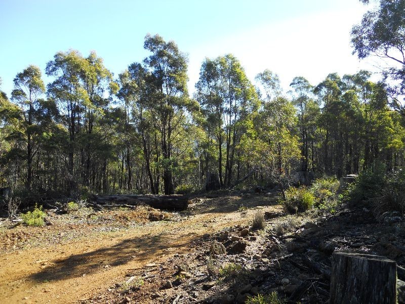 “Little Den” Lake River Road, Cressy TAS 7302
