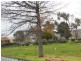 23 Falmouth Street, Avoca TAS 7213