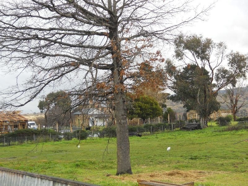 23 Falmouth Street, Avoca TAS 7213