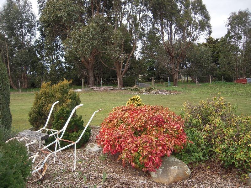 5 Macquarie Street, Cressy TAS 7302