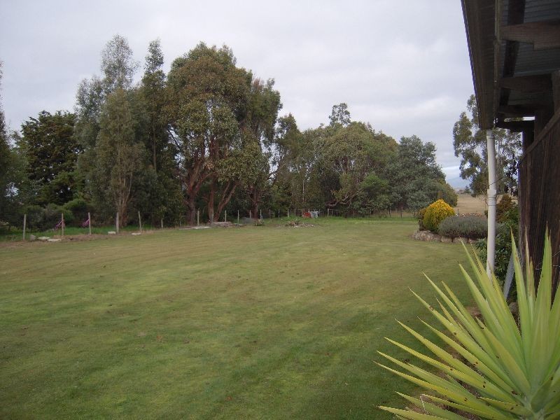 5 Macquarie Street, Cressy TAS 7302